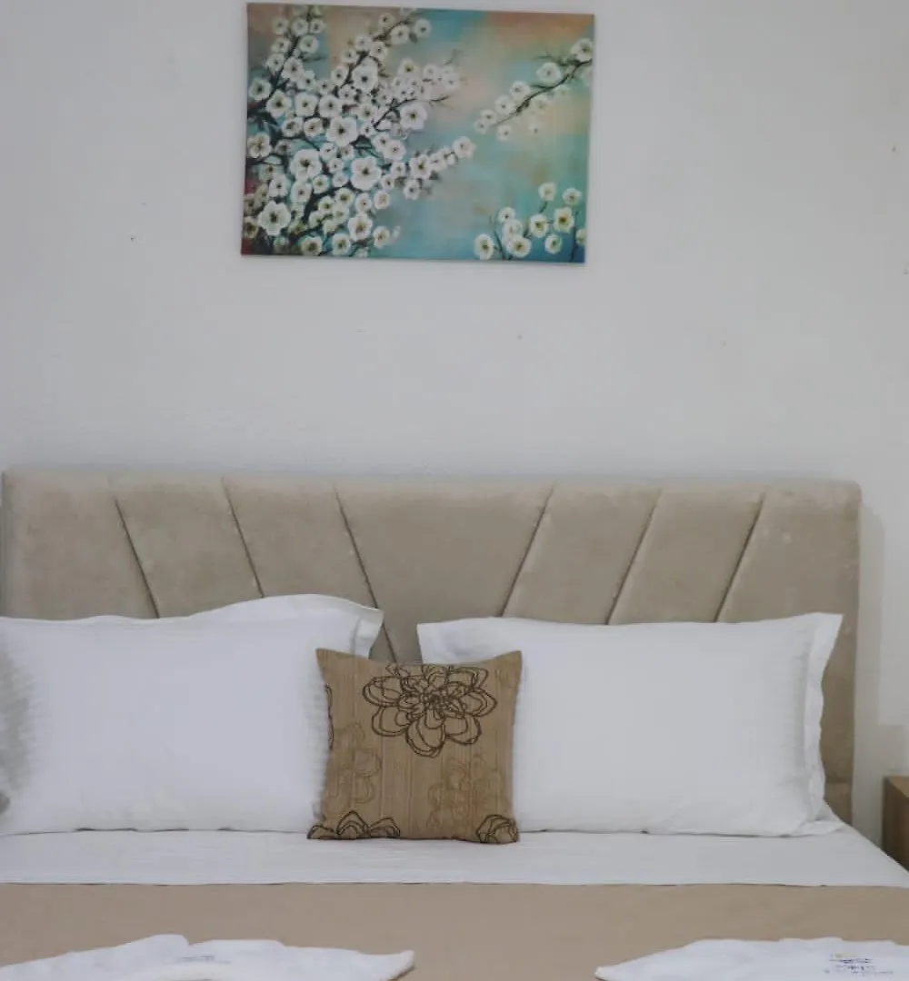 Green Garden House شكودر 0*,